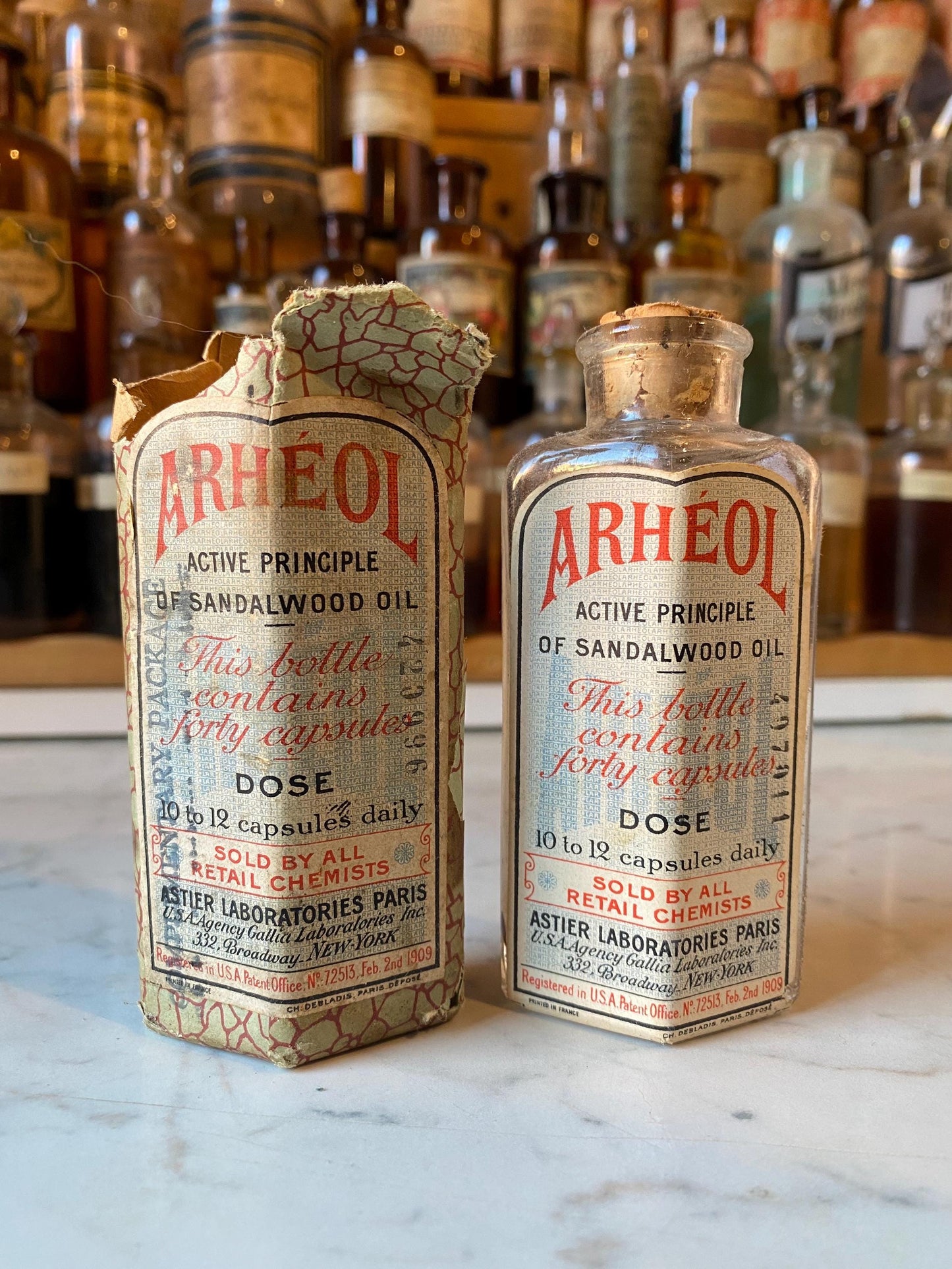 5 Sandalwood Capsules – Year 1909 | Time Sealed in Living Wood