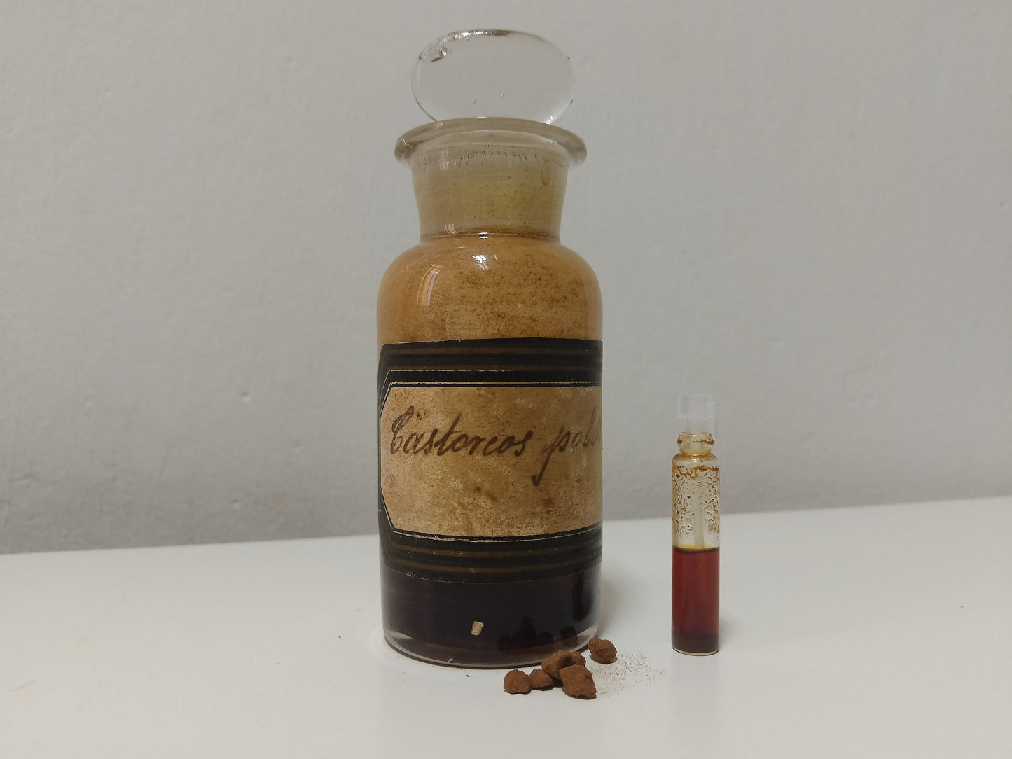 Castoreum Tincture: The Powerful Animal Secret of Perfumery