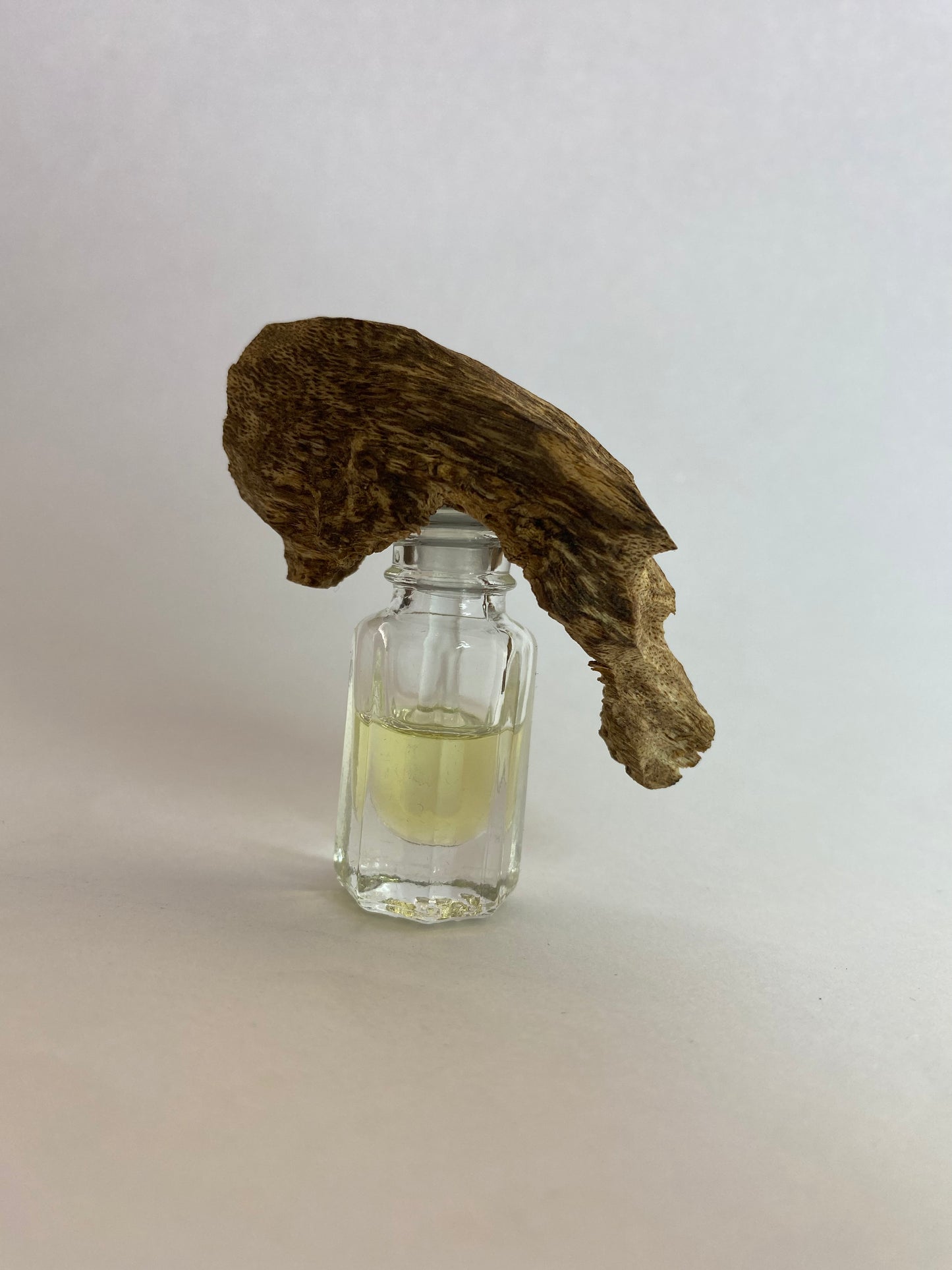 Asva – Oud de la provincia de Chanthaburi, Tailandia (Aquilaria crassna)