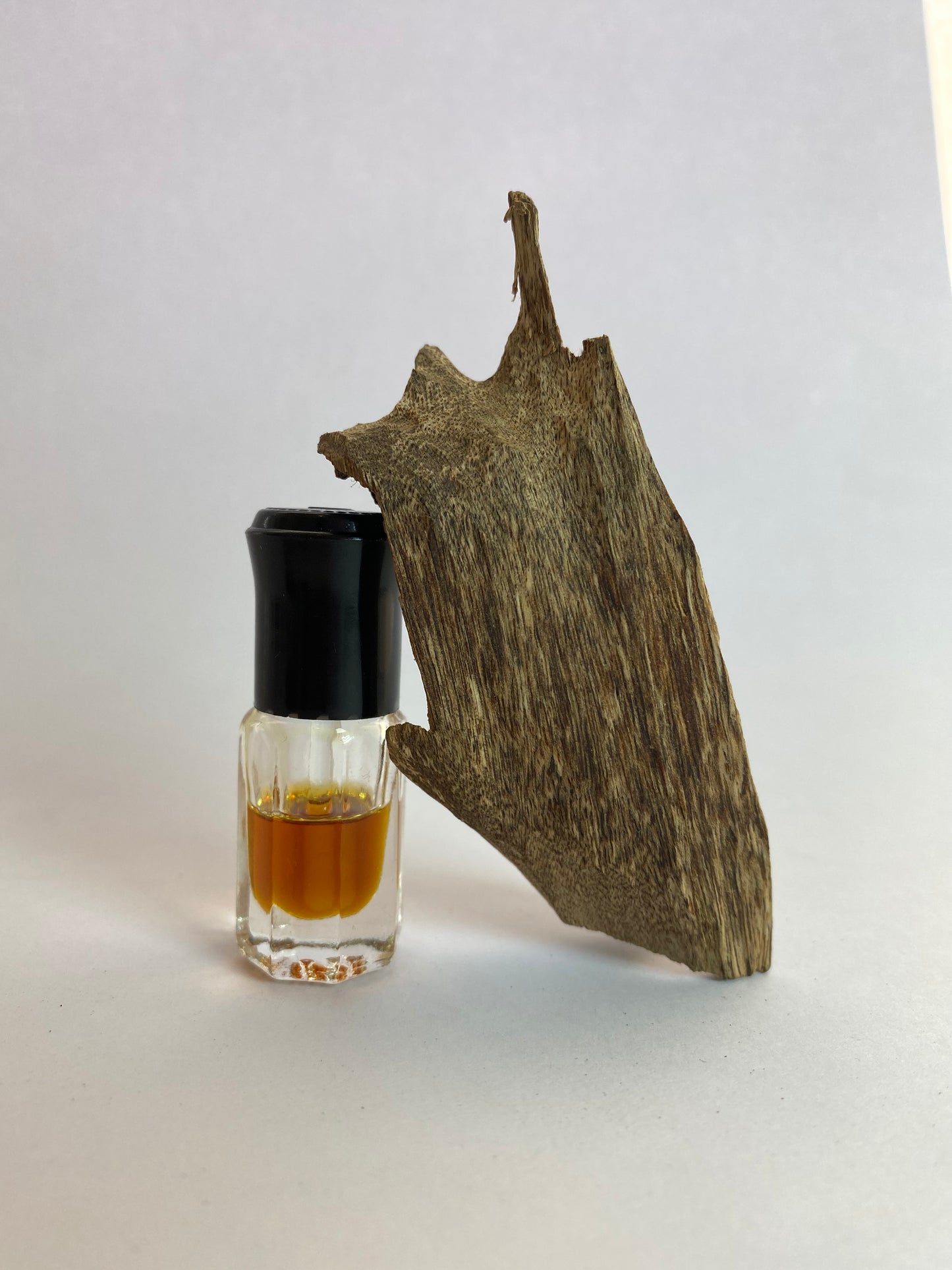 Vasana - Oud de la provincia de Surat, Tailandia (Aquilaria Mallacensis)