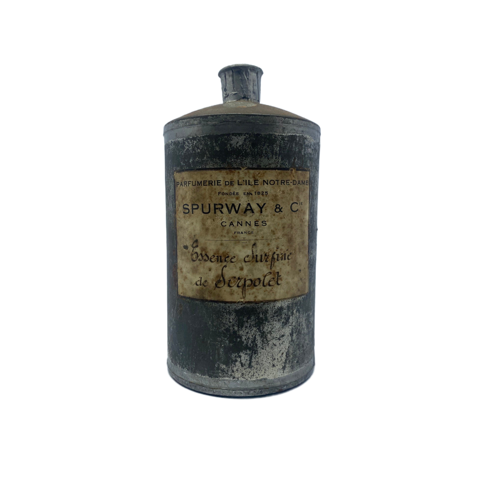 Thyme Serpol Vintage Essential Oil
