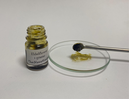 Flor de Saúco Absoluto – Francia | Dulzura aérea, naturaleza viva