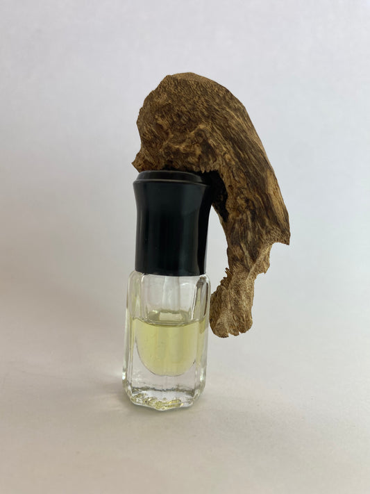 Asva – Oud de la provincia de Chanthaburi, Tailandia (Aquilaria crassna)
