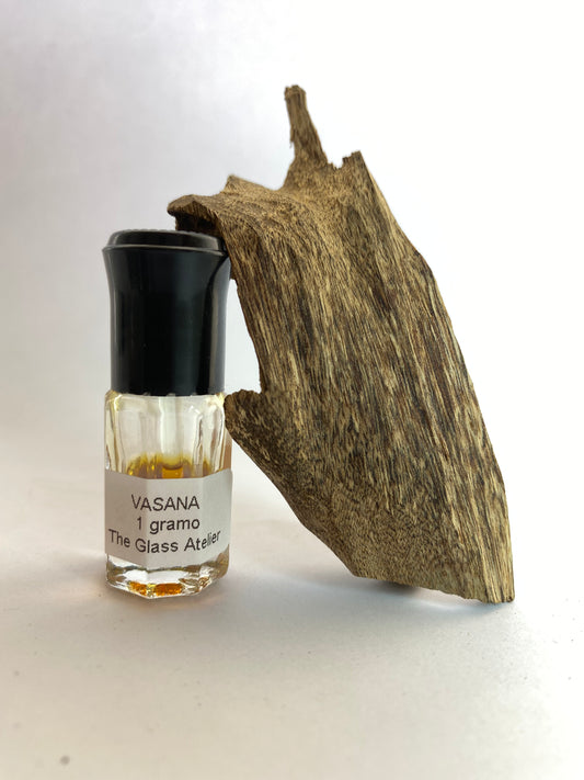 Vasana - Oud de la provincia de Surat, Tailandia (Aquilaria Mallacensis)