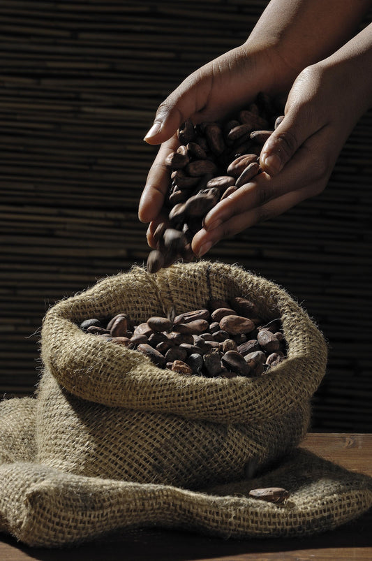 Absoluto de Cacao 30% | Aroma Natural a Chocolate Puro