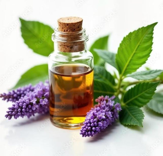 Absoluto de Patchouli – Indonesia | Madera Viva, Sombra Aromática